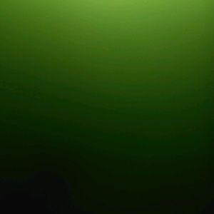 Meet your Posher, Tyrone